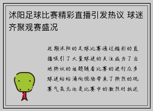 沭阳足球比赛精彩直播引发热议 球迷齐聚观赛盛况
