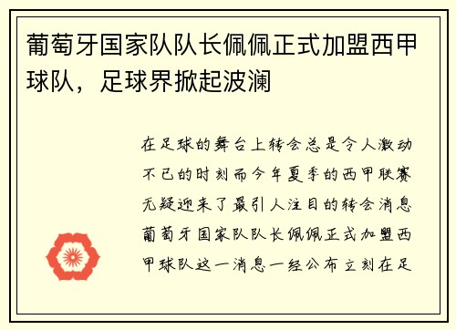 葡萄牙国家队队长佩佩正式加盟西甲球队，足球界掀起波澜