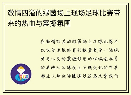 激情四溢的绿茵场上现场足球比赛带来的热血与震撼氛围