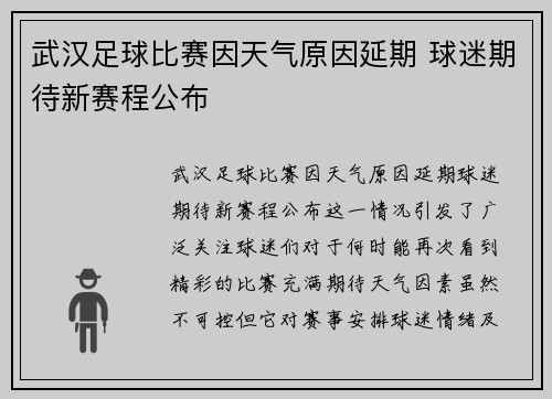 武汉足球比赛因天气原因延期 球迷期待新赛程公布