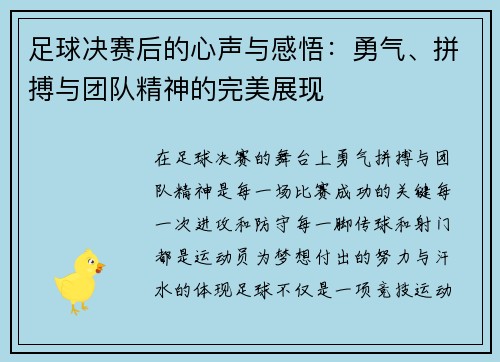 足球决赛后的心声与感悟：勇气、拼搏与团队精神的完美展现