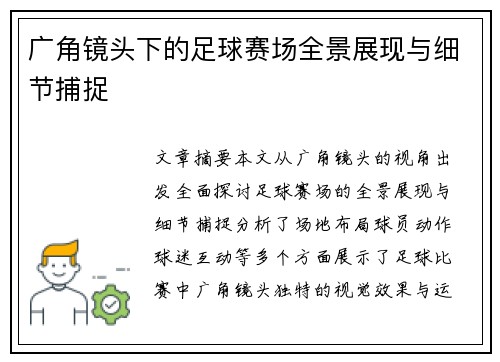 广角镜头下的足球赛场全景展现与细节捕捉