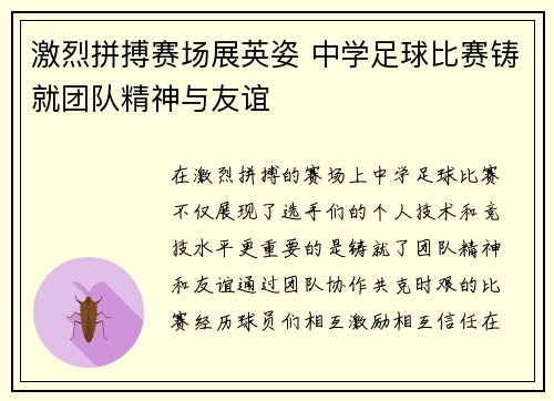 激烈拼搏赛场展英姿 中学足球比赛铸就团队精神与友谊