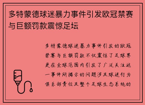 多特蒙德球迷暴力事件引发欧冠禁赛与巨额罚款震惊足坛